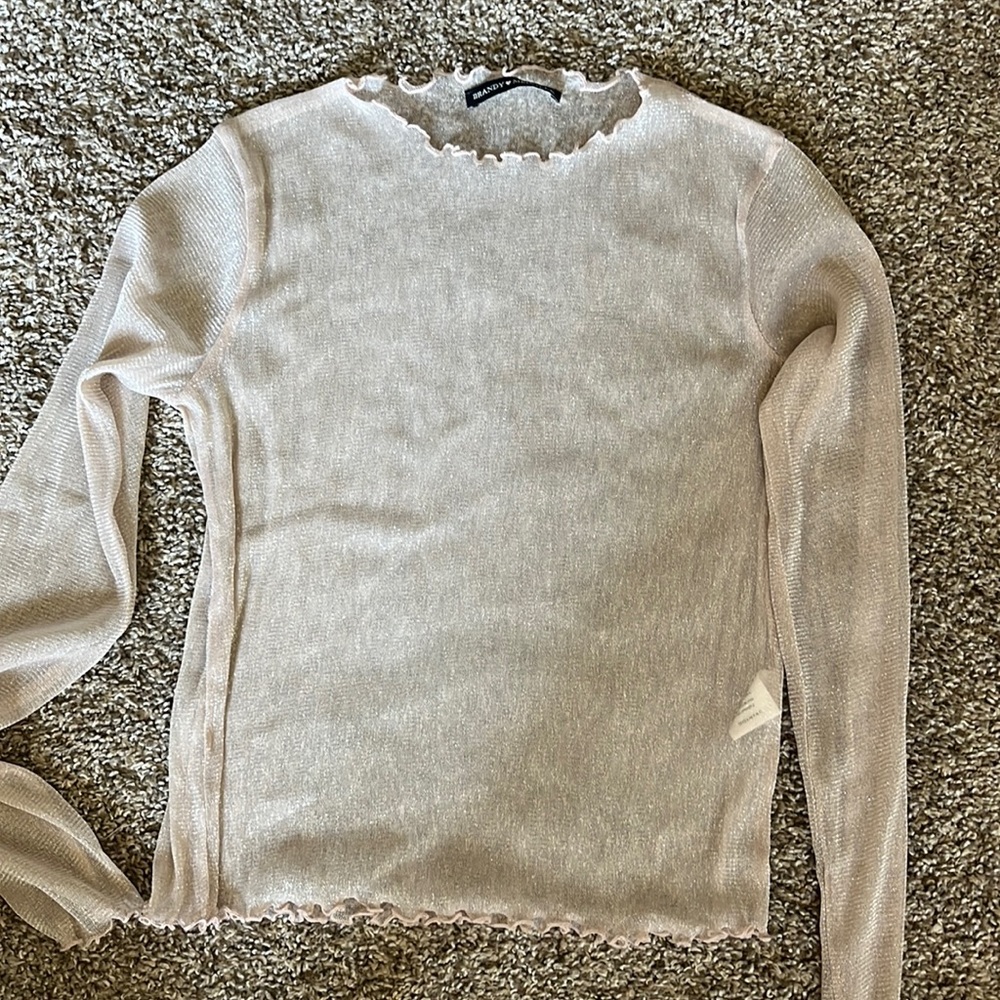 Brandy Melville Sheer Top